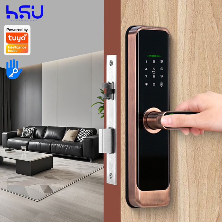 Digital Smart Doorlock Passcod - Home Security Door Lock 评论和价格