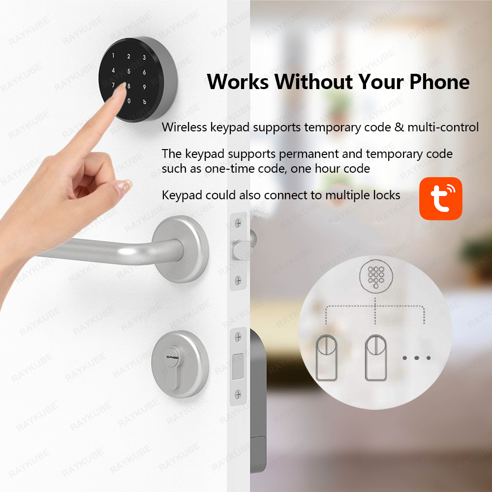 RAYKUBE A1 Pro Tuya BEL Smart  - Home Security Door Lock 评论和价格