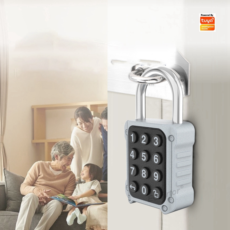 EGFirtor Tuya APP Electronic S - Door Lock Smart Keypad 评论和价格