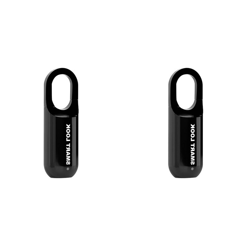 BAAE 2X Fingerprint Padlock M0 - Home Security Door Lock 评论和价格